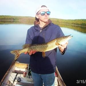 Meet your Posher, D.j.